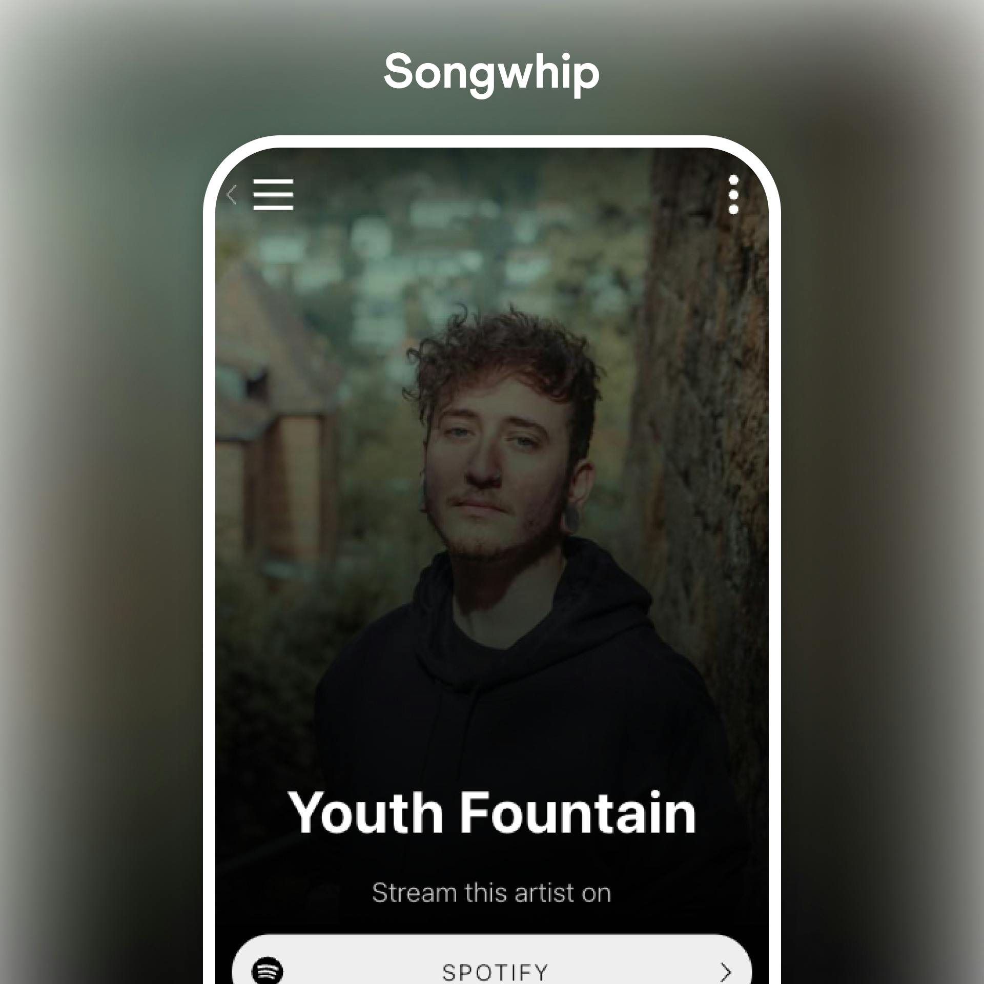Songwhip link in bio tool example profile on a mobile device